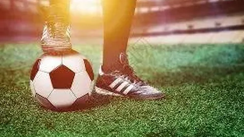 胡剑飞考察抚州赛区2025年江西省城市足球超级联赛筹备工作