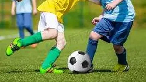 乐玩体育在线 资讯 123850 79t