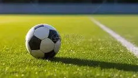 乐玩体育在线 资讯 101701 pbr